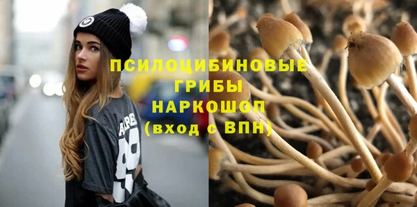 метадон Инсар
