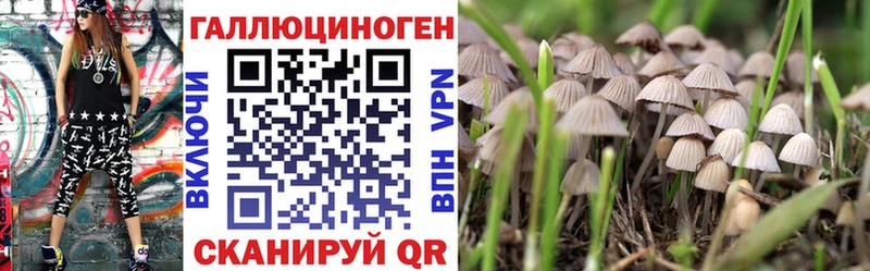 Псилоцибиновые грибы GOLDEN TEACHER Курлово